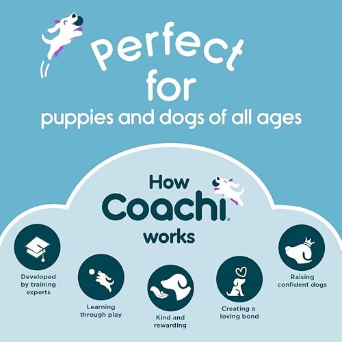 Coachi Tuggi Hide - Interactive Dog Toy for Tug of War & Play - style: Tuggi Hide