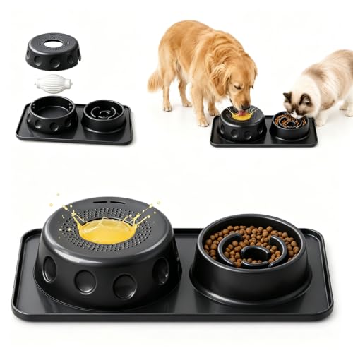 Slow Feeder Dog Bowl and Cat Water Bowl Set, 2 in 1 Pet Food and Water Bowl with Spill Proof Tray, Maze Puzzle Slow Eating Bowl for Cats and Dogs Black - color: Black, size: Double