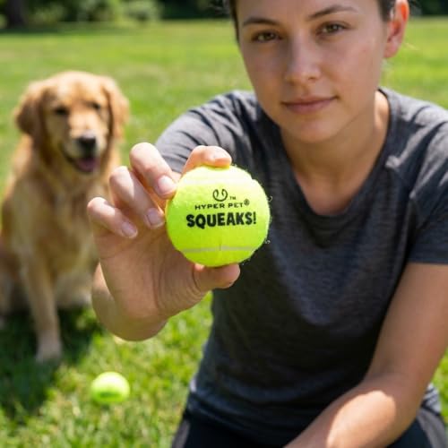 Hyper Pet Squeaks! Tennis Balls Fetch Dog Toy, Medium 2.5 in, 4 Pack, Green - color: Green, size: 4 Pack – Squeak