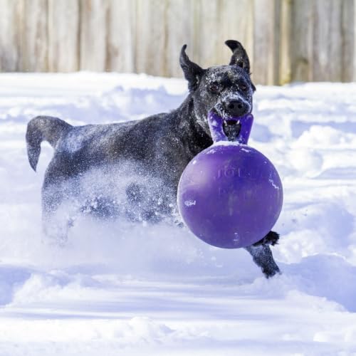 Jolly Pets Tug-n-Toss Heavy Duty Dog Toy Ball with Handle, 8 Inches/Large, Purple - color: Purple, size: Large (8 in)
