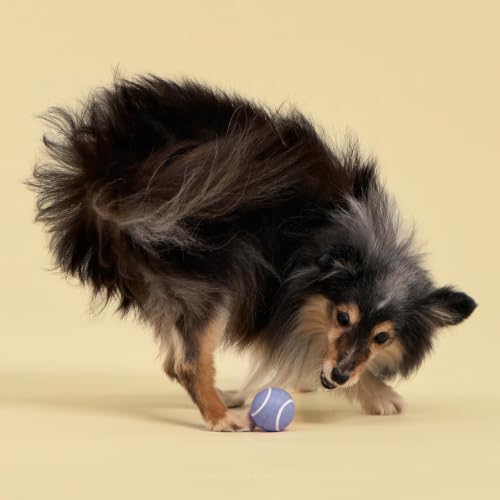 Playology Squeaky Chew Ball Dog Toy - Small, Blueberry Scent, 3-Pack - size: Small (VALUE 3-Pack), style: Blueberry