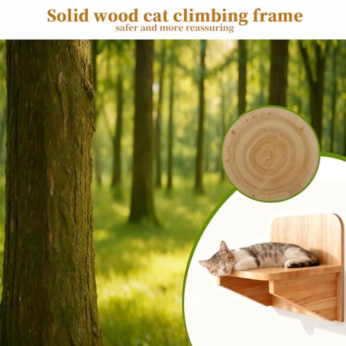 Solid Pine Wood Cat Wall Shelf - Unfinished Natural Wood Perch for Indoor Cats, Wall-Mounted Lounging Bed & Climbing Platform, Space Saving Cat Furniture
