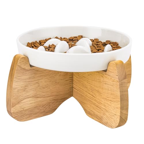 Raised Ceramic Slow Feeder Cat Bowl 6.3" Wide with Stand (1 Pack) - color: Raised Slow Feeder Bowl (1 Pack)