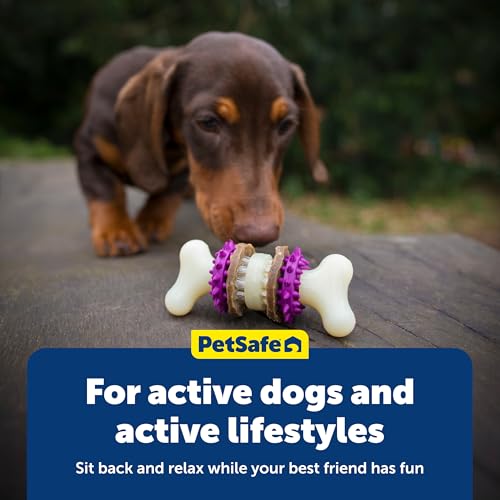 PetSafe Busy Buddy Bristle Bone Dog Treat Holding Chew Toy, Small - size: Small, style: Bristle Bone