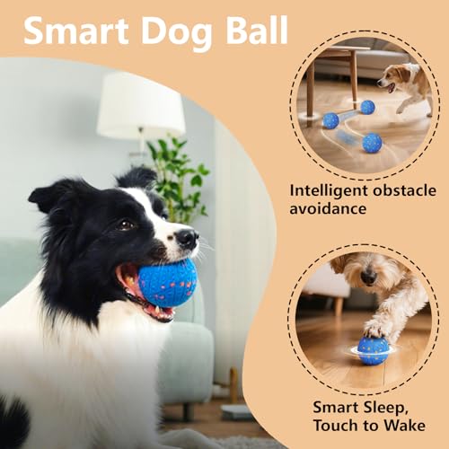 Interactive Dog Toys Smart Dog Ball for Aggressive Chewers Auto Bounce Blue - color: Bule