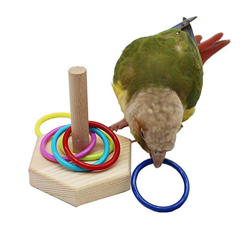 QBLEEV Bird Tabletop Toy, Parrot Activity & Training Trick Color Ring Toys - color: Color Circle A