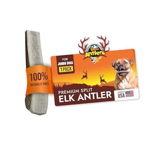 Tibetan Elk Antler for Jumbo Dogs, Grade-A, Premium Chews, Naturally shed Healthy & Longer Lasting Aggressive chewers, USA Product Antler (Split) - style: Split - Jumbo - 1 Pack