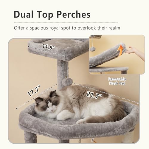 Heybly 64.2" Heavy-Duty Cat Tree for Large Cats with Wide Base HCT027W - color: Light Gray, size: 64.2 inch