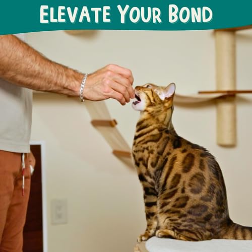 ALBERT & MIA Cat Clicker Training Kit + The Click Crusade Bundle (Cat Training Card Game Guide to Clicker Training for Cats for Teaching Tricks, Improving Communication and Bonding with Your Kitten