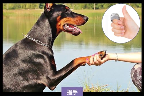 The Set of Easy Clicking Finger Ring Clicker Included Large and Small 2 Sizes,Dog clicker Trainer Suitable for Dogs Cats Horses traing Allowing Effective Versatile Training (2pcs Grey+Green) - color: 2pcs Grey+Green