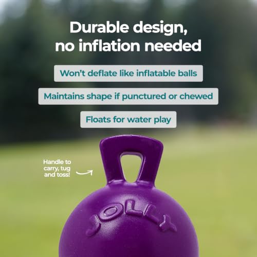 Jolly Pets Tug-n-Toss Heavy Duty Dog Toy Ball with Handle, 8 Inches/Large, Purple - color: Purple, size: Large (8 in)