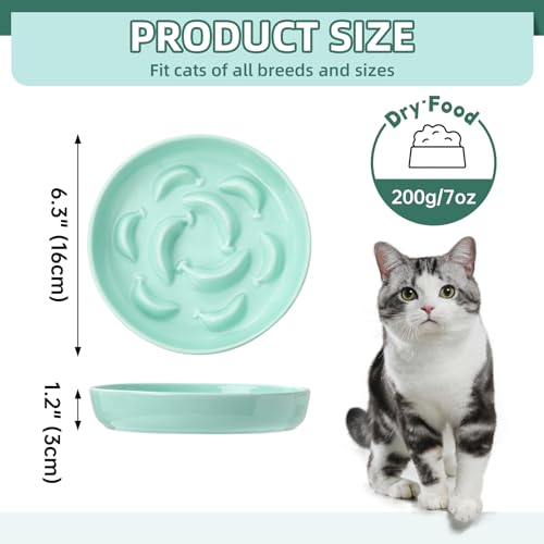 2 Pack Ceramic Cat Slow Feeder Bowl Set, 6.3" Wide, Slow Eating 5X - color: Blue and Green