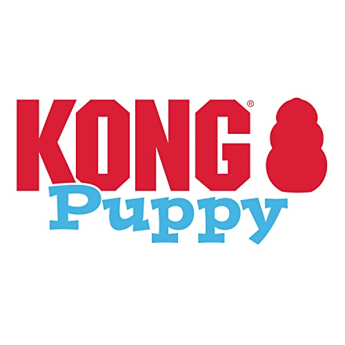 KONG Puppy, Natural Rubber Teething Chew Toy, for Large Puppies, Blue - color: Blue, size: Large (Pack of 1)