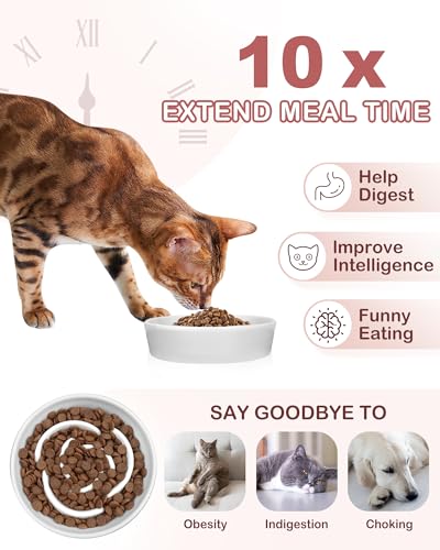TRUVIC Ceramic Slow Feeder Dog Bowls Small Breed, 0.6 Cup Slow Feeder Cat Bowls for Fast Eaters, Ceramic Dog Food Dish no Black Chin, Puzzle Bowl for Small Dogs and Cats, White - color: 01-White, size: S-0.6 Cups