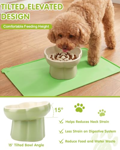 Ceramic Elevated Slow Feeder Cat Bowl Set with Feeding Mat & Measuring Scoop, Raised Tilted Puzzle Bowl for Cats & Small Dogs, Whisker Friendly Pet Feeding Dish for Dry Wet Food (Green) - color: Green