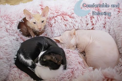 XxingSheep 4-Cave Plush XL Cat Tunnel Bed Indoor Cats Peekaboo Toy Mat Pink - color: Pinkish White