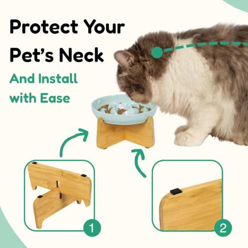 Elevated Slow Feeder Cat Bowl with Bamboo Stand, 6.3'' Ceramic Cat Food Bowl, Raised Whisker Friendly Cat Dish for Wet & Dry Food, Dishwasher Safe Anti-Slip Feeder for Cats & Small Dogs (Green) - color: Green with Stand