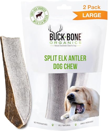 Buck Bone Organics Dog Chews, Elk Antlers for Dogs, Long Lasting Dog Bones for Aggressive Chewers, All Natural, No Preservatives, Wild Shed in the USA (Large 2 Pack) - size: Large, style: 2 Pack
