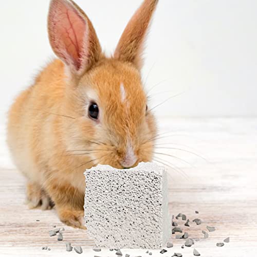 kathson Natural Rabbit Teeth Grinding Stones,15 Pcs Chinchilla Teeth Grinding Toys Lava Stone for Rabbits Hamster Chew Stones Small Animal Mineral Calcium Lava Blocks for Chinchillas Guinea Pig Rat
