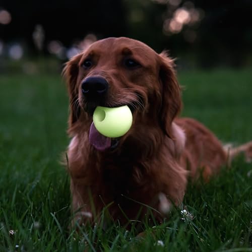 Harry Barker Glow-in-the-Dark Rubber Dog Fetch Balls, High-Bounce Interactive Toy with Safety Air Vent, 2.5 Inch, Launcher-Compatible - color: I) 2.5" 2-Pack (Glow)