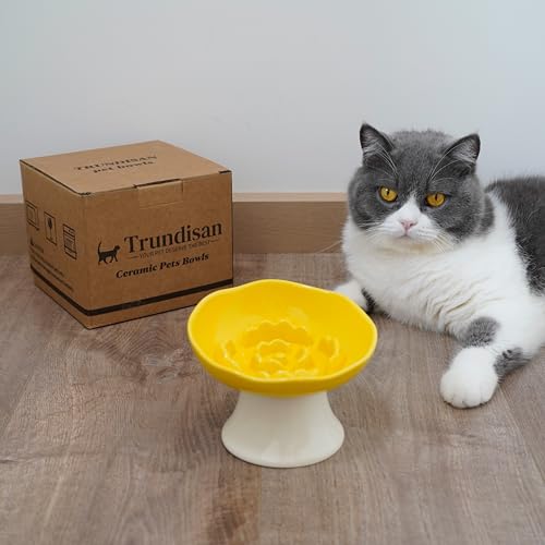 Ceramic Slow Feeder Bowl for Cats and Small Dogs, Elevated Tilted Pet Food Dish, Whisker Friendly Anti-Vomit Design, Heavy Stable Base, Dishwasher Safe， 5 Colors Options (Lemon Yellow) - color: Lemon Yellow