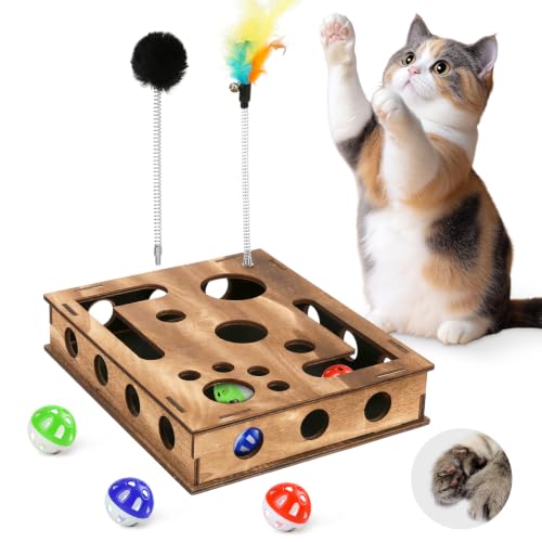 Zayeemi Cat Scratching Educational Box Wooden Interactive Toy Spring Feather Teasing Cat Wand Bell Ball for Indoor Cat Fun