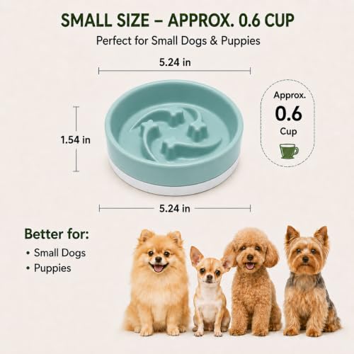 Ceramic Slow Feeder Dog Bowl, 0.6 Cup, Light Green Bowl&White Base - color: Light Green with White Silicone Base