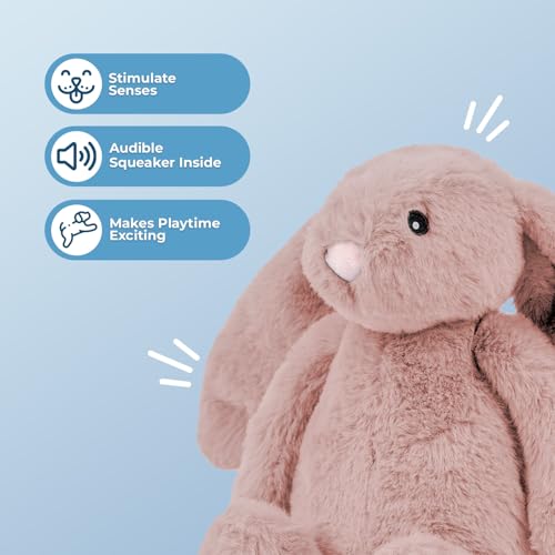 Best Pet Supplies Bunny Buddy Squeaky Plush Dog Toy - Mauve, Small - color: Bunny (Mauve), size: Small