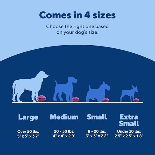 PetSafe Busy Buddy Twist 'n Treat Dispensing Dog Toy, Large - size: Large (Pack of 1)