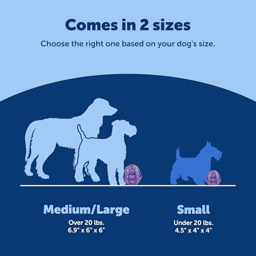 PetSafe Busy Buddy Kibble Nibble Treat Dispensing Dog Toy, Medium/Large