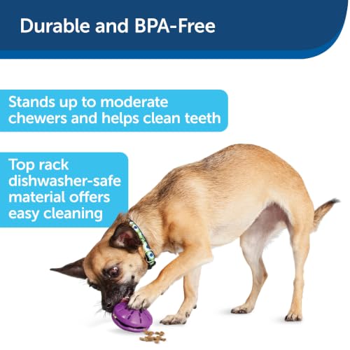 PetSafe Busy Buddy Twist 'n Treat Dispensing Dog Toy, Small - size: Small (Pack of 1)