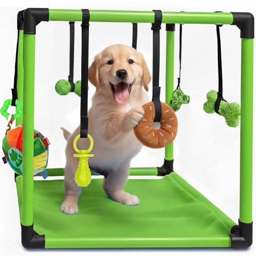 Race&Herd 19.5" Puppy Play Gym — Small Dog Jungle Activity Mat (Lime) - color: Lime