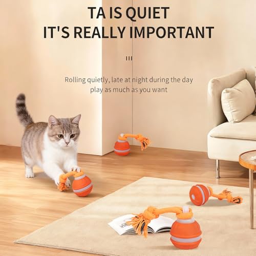 Interactive Dog & Cat Toy, Auto Chirping Ball, Rechargeable Self Play - color: 1 Orange