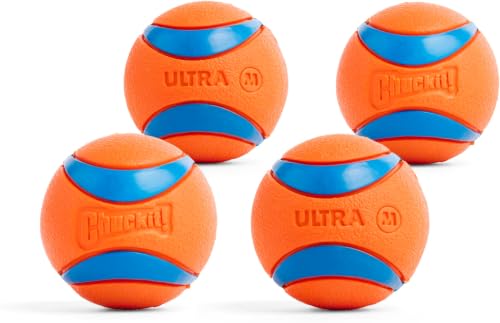 Chuckit! Ultra Ball Dog Toy - Medium Bouncy Fetch Balls for Dogs 20-60 lbs - Made from Durable Rubber - Floating Water Pet Toys - Size Medium - 2.5-inch Diameter - Pack of 48 - size: Medium (Pack of 12), style: Medium (4 Pack)