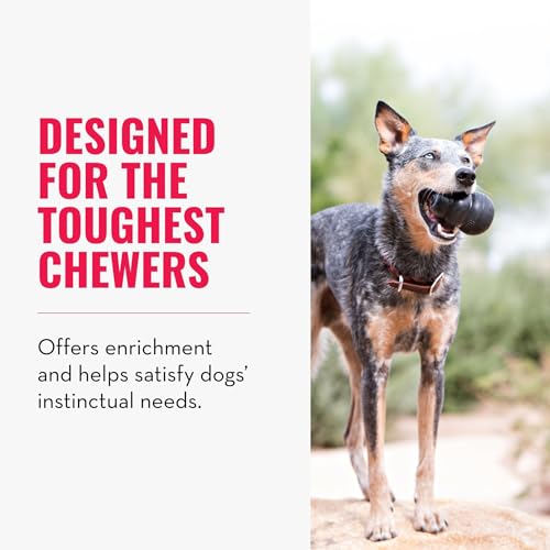 KONG Extreme Dog Toy, Natural Rubber Chew, for Small Dogs (Pack of 2) - size: Small(2-Pack)