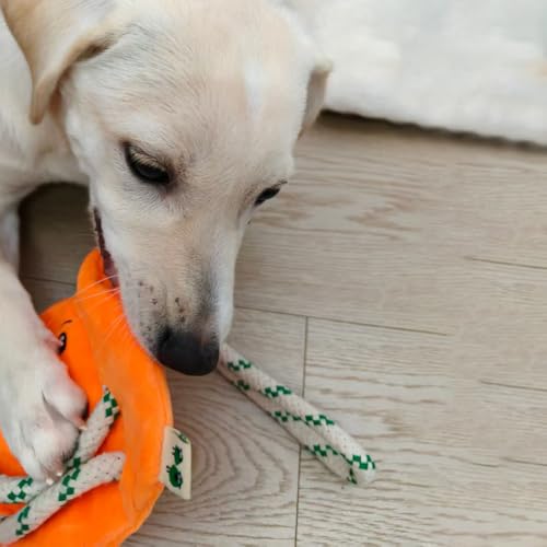Green Sheep Interactive Plush Dog Toy, No Stuffing Squeaky Toy with Recycled Cotton Rope for Medium to Large Dogs, Chew Toy, Pumpkin - color: Pumpkin（L）