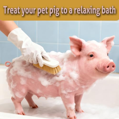 Toys for Pigs, 3-Pack Pet Enrichment Scratching Brushes for Outdoor