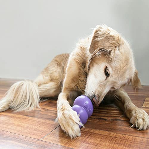 KONG Senior, Gentle Natural Rubber Stuffable Dog Toy, for Medium Dogs - size: Medium (Pack of 1)