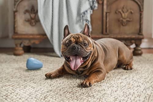Harry Barker Durable Rubber Treater Toy - Medium - color: F) Medium Treater (Blue)