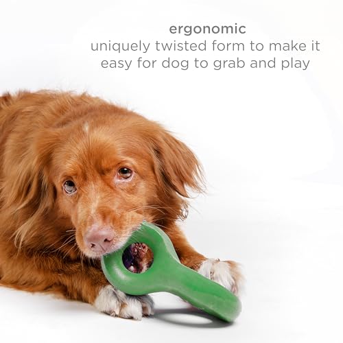 Ubbi Chomp Dog Toy, Green - size: One Size, style: Chew Toy, Green