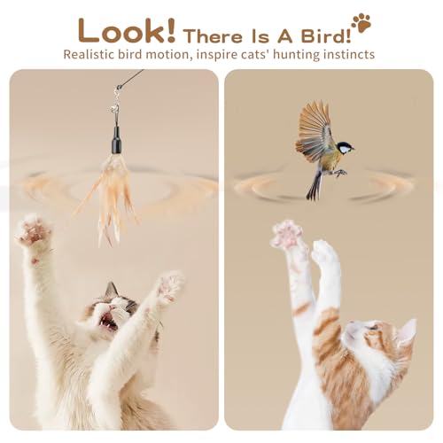 Pawaboo Cat Feather Wand Interactive Toy, 2 Feathers + 1 Wand with Bell - color: A-Brown