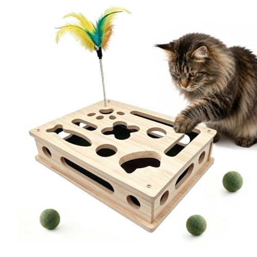 Cat Scratch Puzzle Enrichment Box