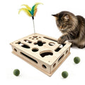 Cat Scratch Puzzle Enrichment Box