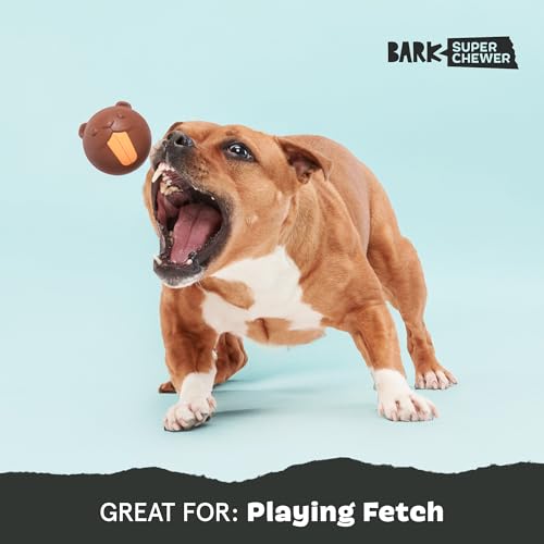 BarkBox Ricochet The Nutria Dog Toy - style: Ricochet The Nutria