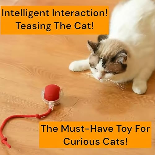 Durable Interactive Cat Toys for Indoor Cats, Dog Toys Ball, Rolling Pet Ball, Smart Automatic Cat Chase Balls Toy, Interactive Dog Toys Speedy Tail,Kitten & Cat Toys Interactive (Pink) - color: PINK