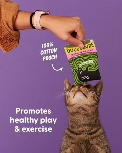 Blue Q Catnip - Cute Cat Toys for Biting with Funny Graphics - Duuuuuuuude - color: Duuuuuuude