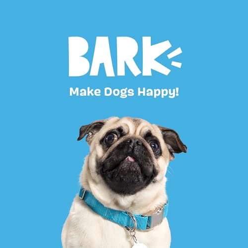 BarkBox Hat Hare - color: Hat Hare