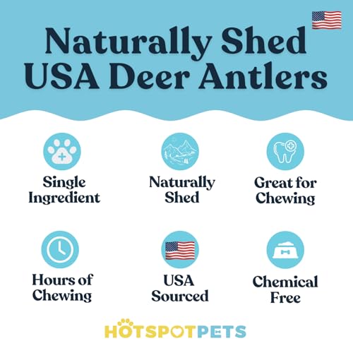 hotspot pets Small Premium Deer Antler for Dogs (3 Pack) - 4-7 Inch Long Lasting Antler Dog Chews Naturally Shed Deer Antlers Bone for Small & Medium Breed Aggressive Chewers - Sourced in USA - size: 3 Count (Pack of 1)