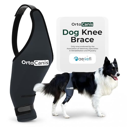 Ortocanis Dog Knee Brace for Hind Leg Support – (XXS, Right Leg) - size: Size XX-Small (7,5- 8,2 ")