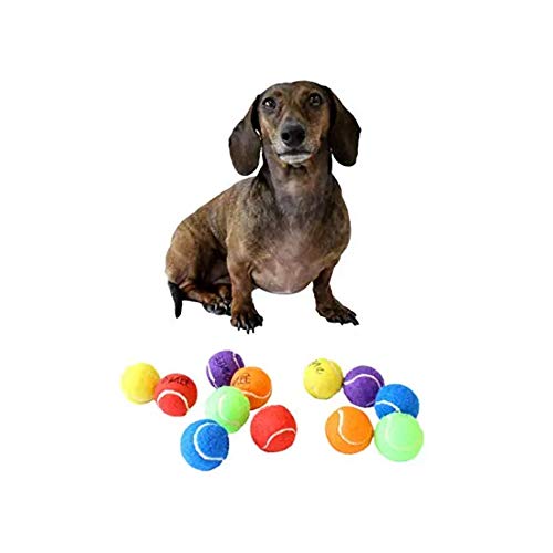 Midlee Mini 1.5" Dog Tennis Balls with Squeaker, Set of 12